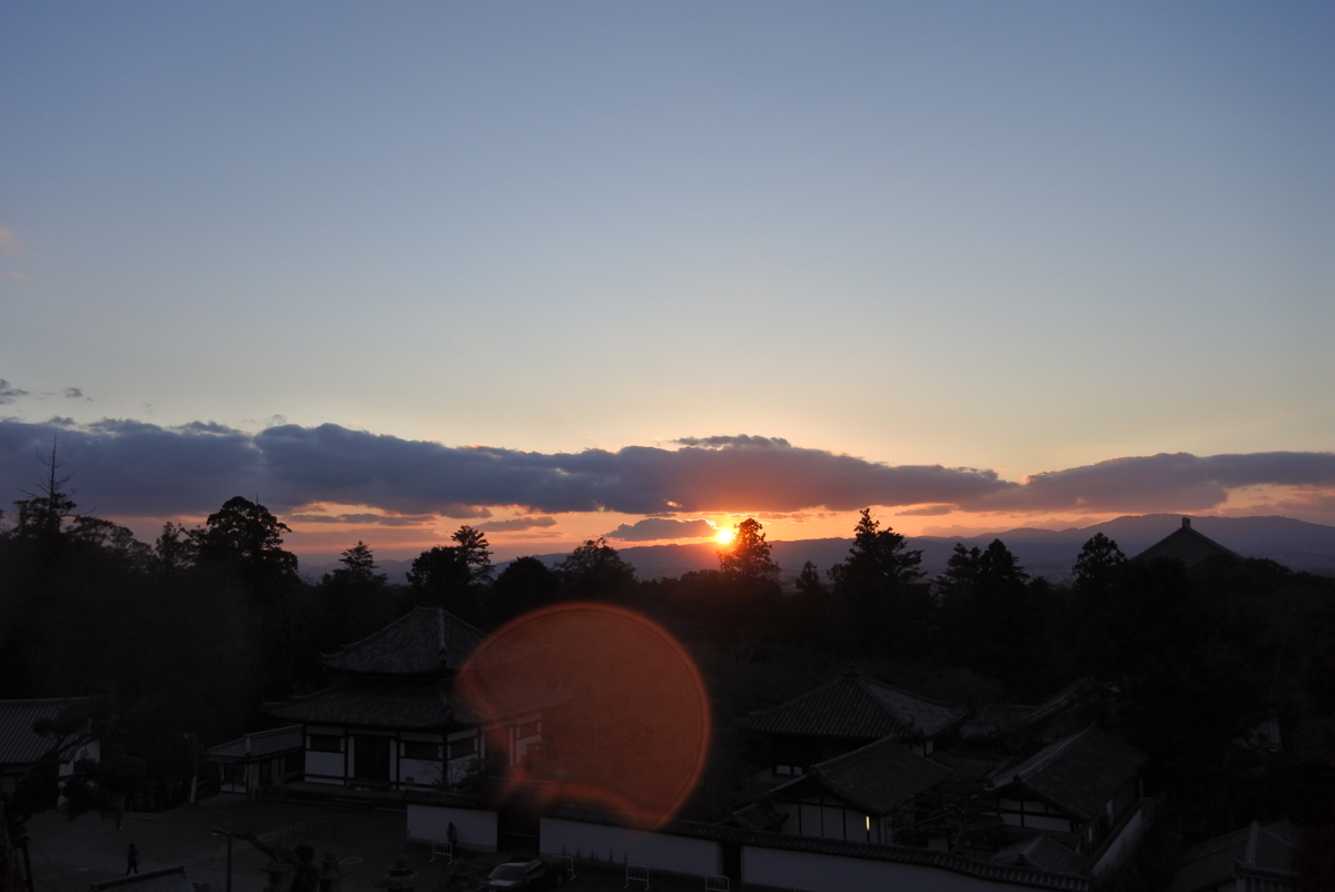 f:id:momonoco:20200121170517j:plain f:id:momonoco:20200121170517j:plain