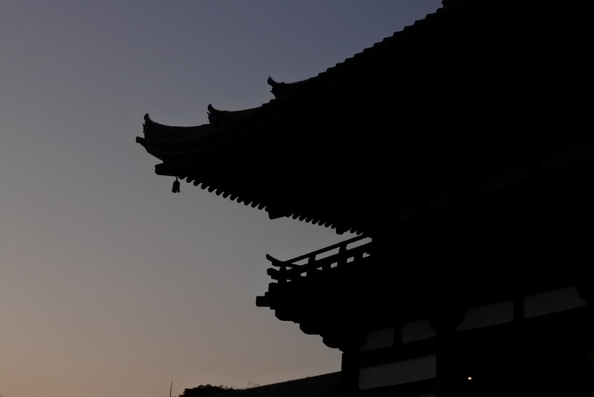 f:id:momonoco:20200121172217j:plain f:id:momonoco:20200121172217j:plain