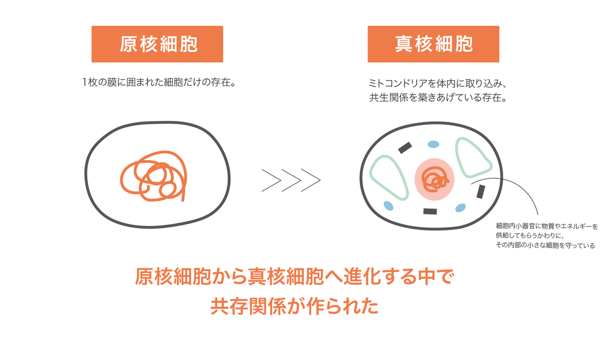 Sdgs社会での共生について考えられる本 サステナベーション アインズ自由研究