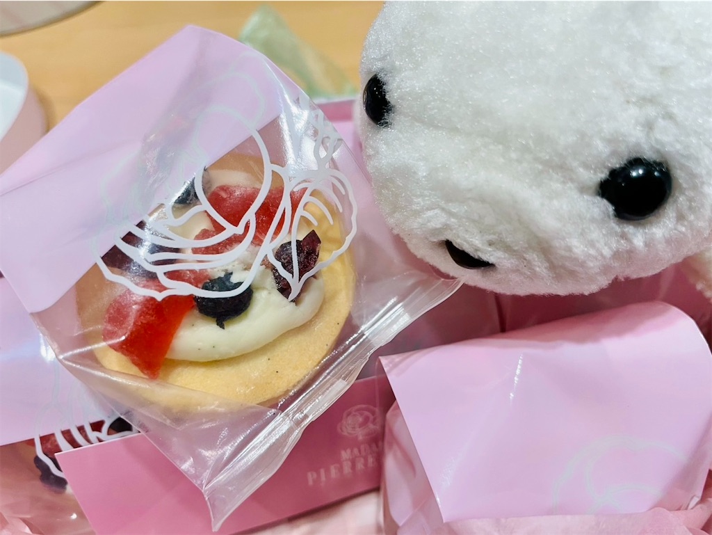 f:id:momopoyo:20260314133111j:image f:id:momopoyo:20260314133111j:image