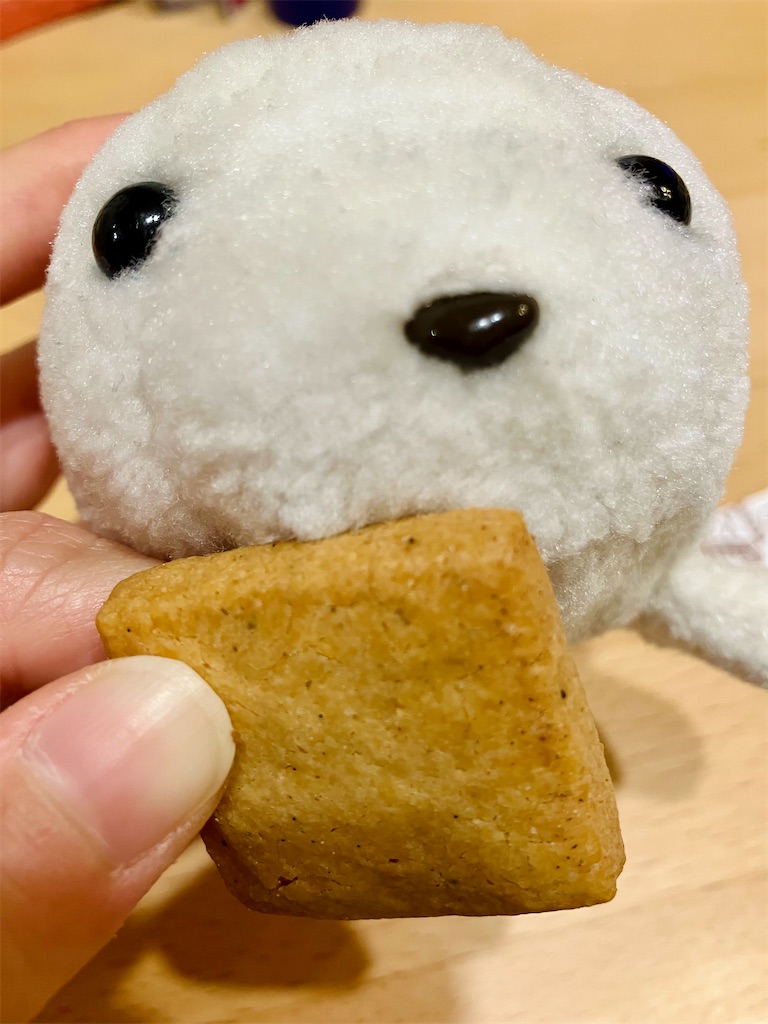 f:id:momopoyo:20260314202533j:image