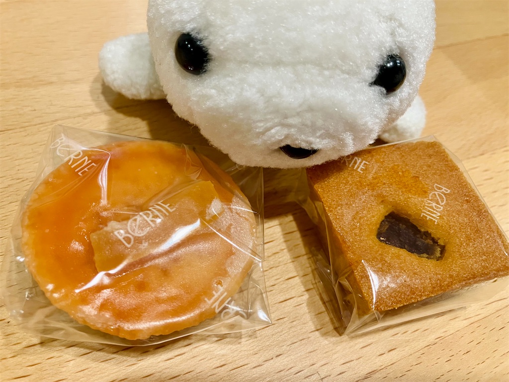 f:id:momopoyo:20260403201913j:image