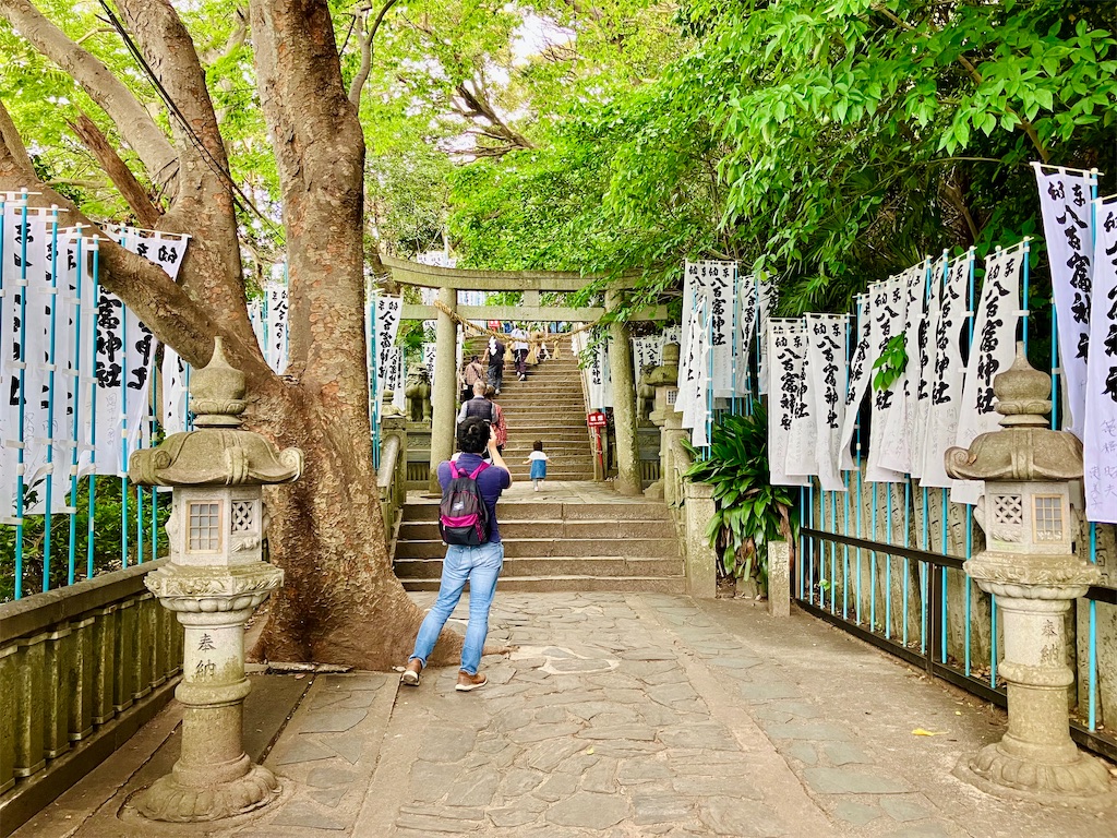 f:id:momopoyo:20260507150656j:image