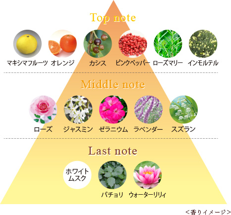 f:id:momoshinee:20170503160518p:plain f:id:momoshinee:20170503160518p:plain