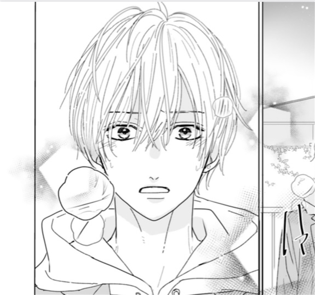 恋をするならキミ以外 14 ラブコメ主成分