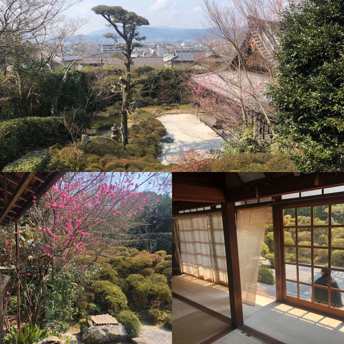 f:id:momosjournal:20190320172032j:plain f:id:momosjournal:20190320172032j:plain