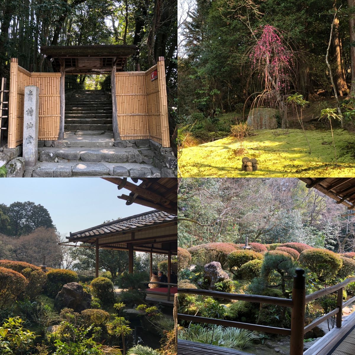 f:id:momosjournal:20190320172047j:plain f:id:momosjournal:20190320172047j:plain