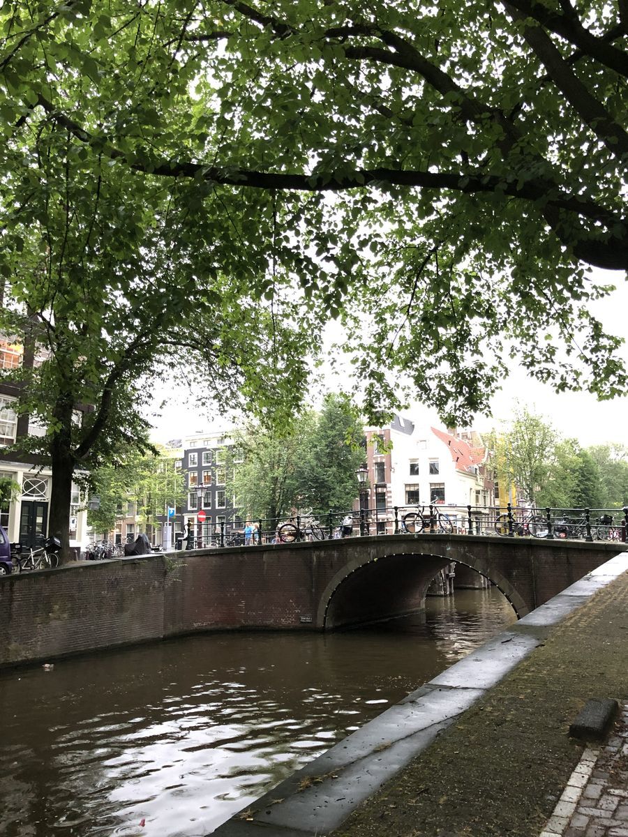 f:id:momosjournal:20190724192530j:plain f:id:momosjournal:20190724192530j:plain
