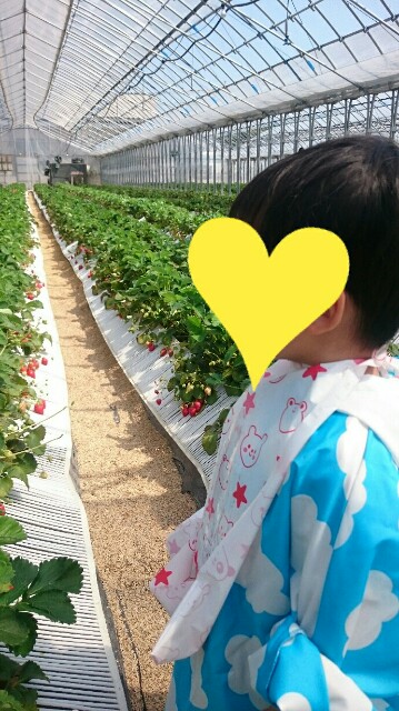 f:id:momosuke418:20180430085227j:plain