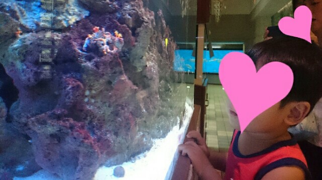 f:id:momosuke418:20180917155650j:plain f:id:momosuke418:20180917155650j:plain