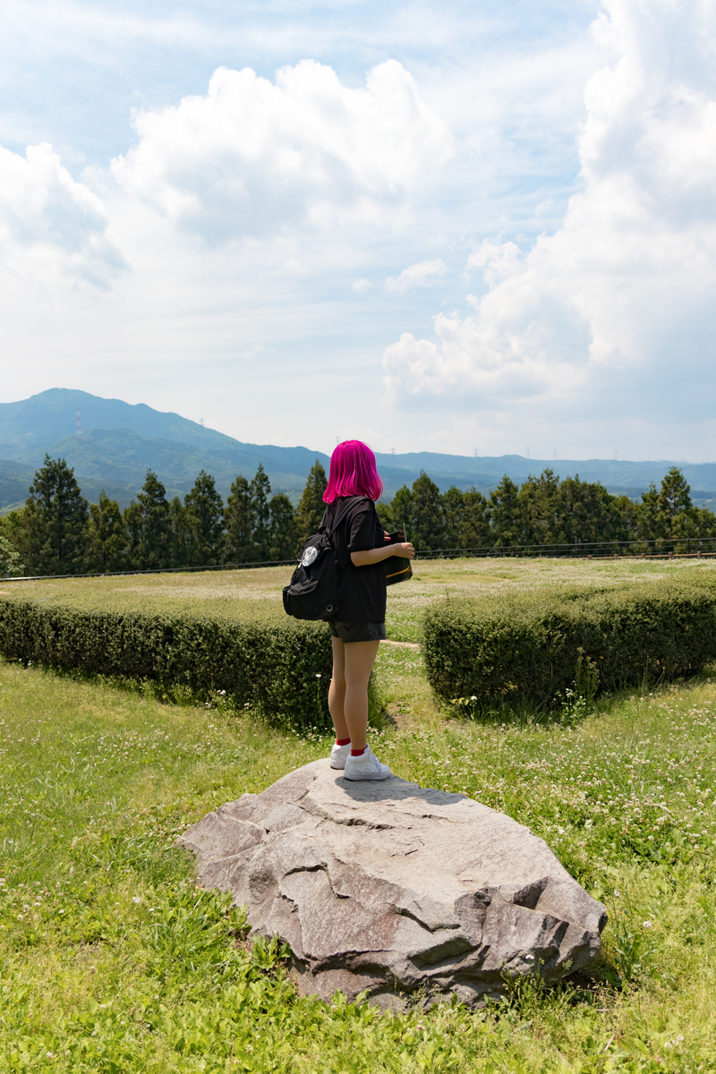 f:id:momosuzu3:20190611015724j:plain f:id:momosuzu3:20190611015724j:plain