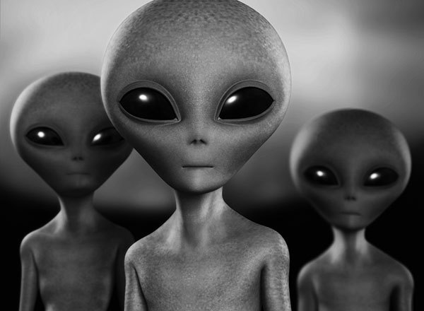 f:id:momotaron03:20181209030034j:plain