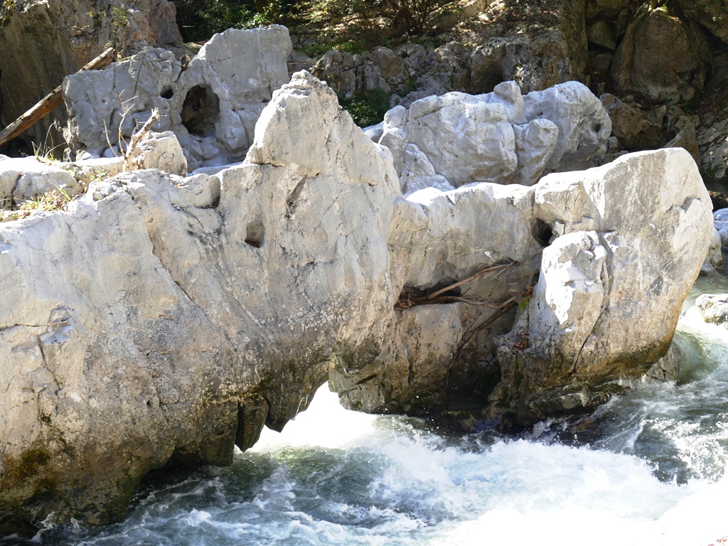 f:id:momotchi_blog:20191101171912j:plain f:id:momotchi_blog:20191101171912j:plain