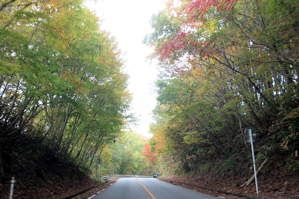 f:id:momotchi_blog:20201103185032j:plain