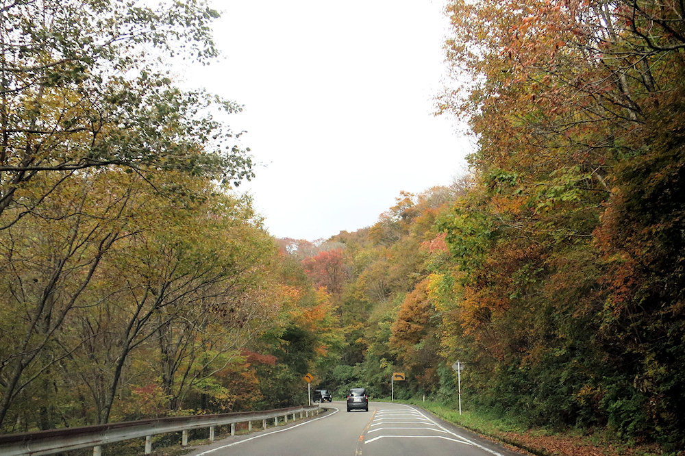 f:id:momotchi_blog:20201103185052j:plain