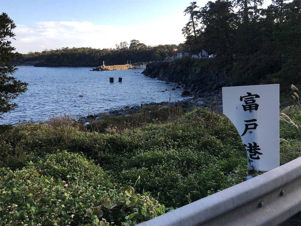 f:id:momotiger:20201227100744j:image