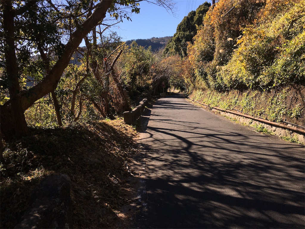 f:id:momotiger:20201228151137j:image