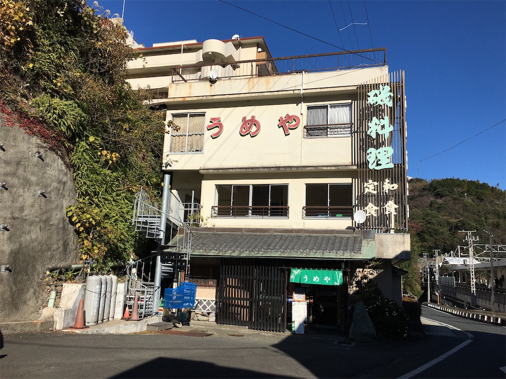 f:id:momotiger:20201228151316j:image