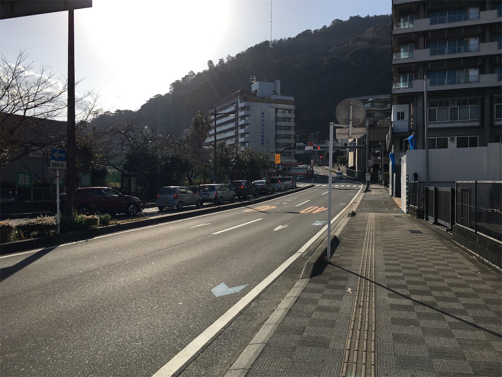 f:id:momotiger:20210116181011j:image
