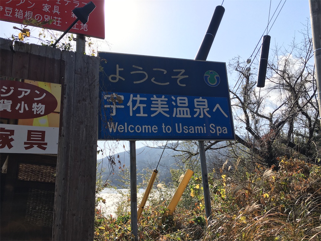 f:id:momotiger:20210116224036j:image