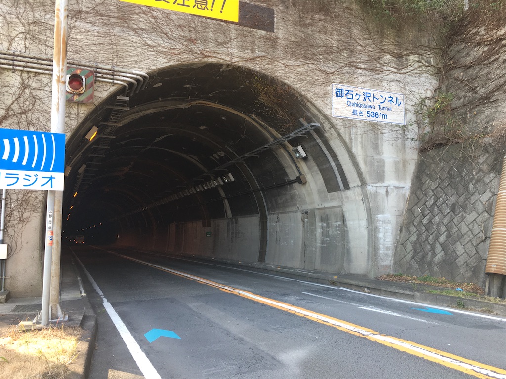 f:id:momotiger:20210116224108j:image