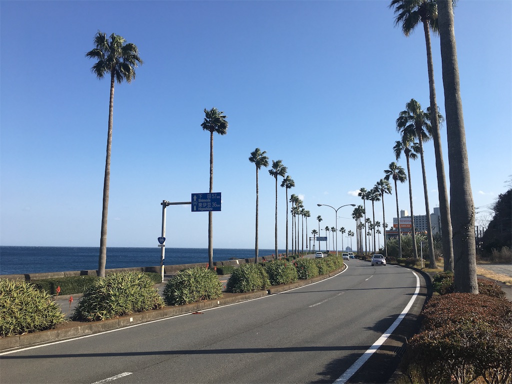 f:id:momotiger:20210116232148j:image