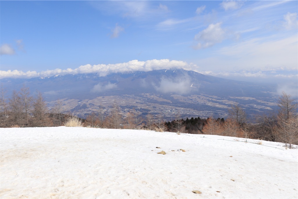f:id:momotiger:20210315125007j:image