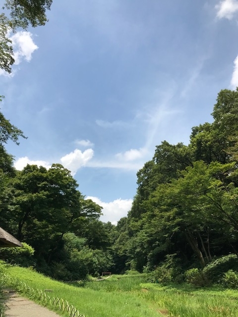 f:id:momotoichi:20180714084152j:plain f:id:momotoichi:20180714084152j:plain