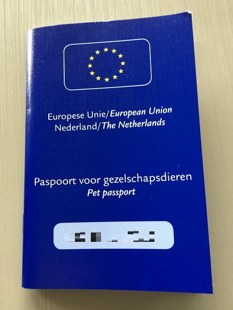 f:id:momotooranda:20170911213457j:plain