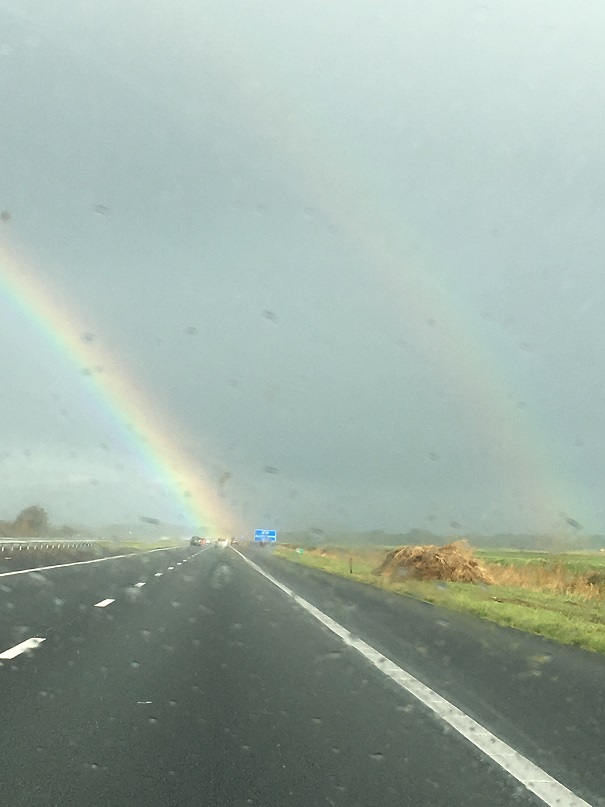 f:id:momotooranda:20171113211427j:plain f:id:momotooranda:20171113211427j:plain