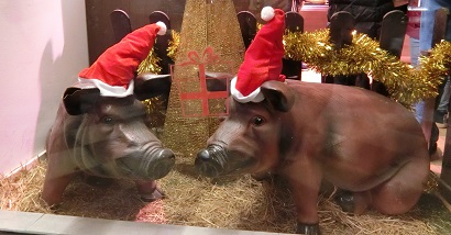 f:id:momotooranda:20190107223357j:plain f:id:momotooranda:20190107223357j:plain