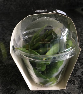 f:id:momotooranda:20190811155727j:plain f:id:momotooranda:20190811155727j:plain