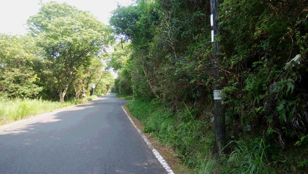 f:id:momotorakame:20190610220413j:plain f:id:momotorakame:20190610220413j:plain
