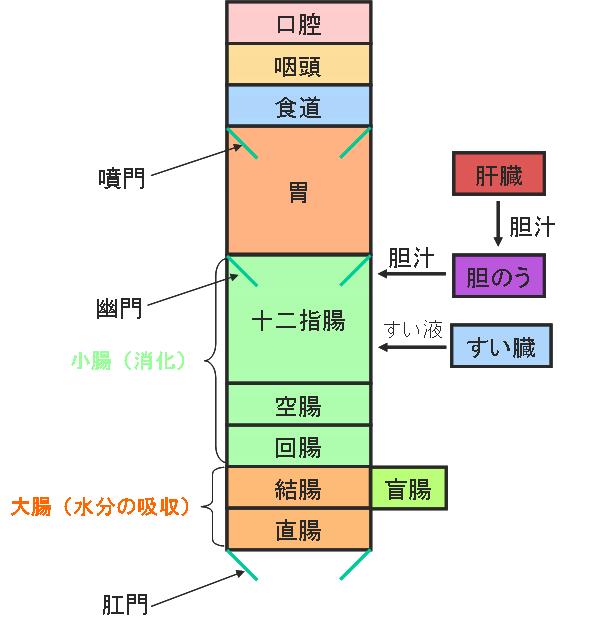 f:id:momototuba:20160913005729j:plain f:id:momototuba:20160913005729j:plain