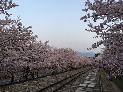 路上 インク ライン