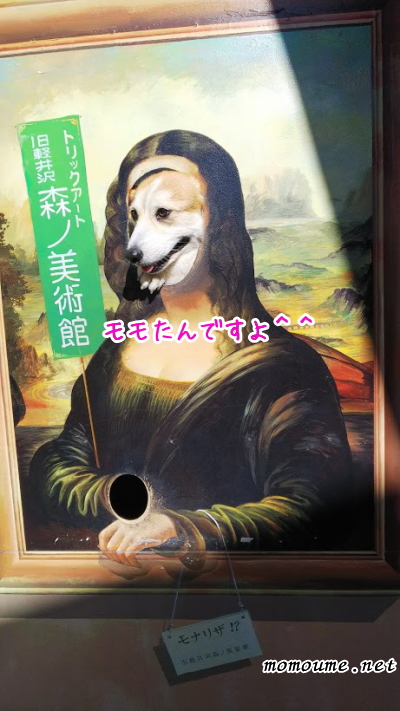 f:id:momoumemama:20190604153009j:plain f:id:momoumemama:20190604153009j:plain