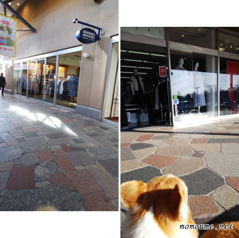f:id:momoumemama:20190604153130j:plain f:id:momoumemama:20190604153130j:plain