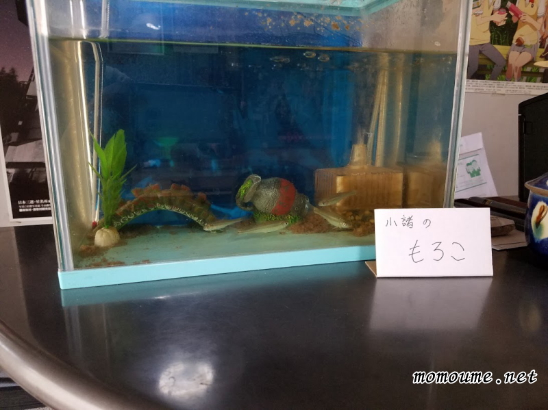 f:id:momoumemama:20190604153333j:plain f:id:momoumemama:20190604153333j:plain