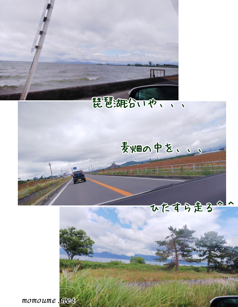 f:id:momoumemama:20190731151816j:plain