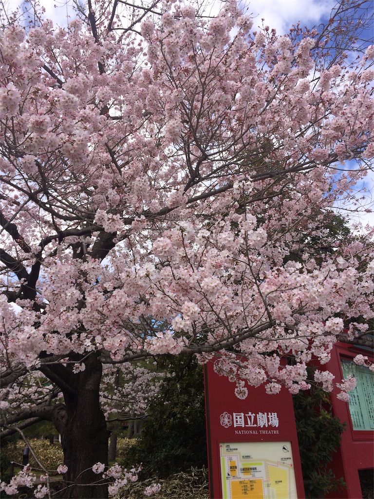 f:id:momowaya:20180401175015j:image f:id:momowaya:20180401175015j:image