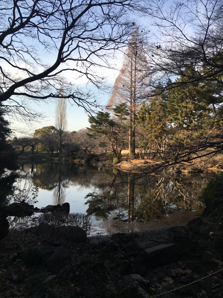 f:id:momoyo-haraguchi:20180216232630j:plain:w500 f:id:momoyo-haraguchi:20180216232630j:plain:w500