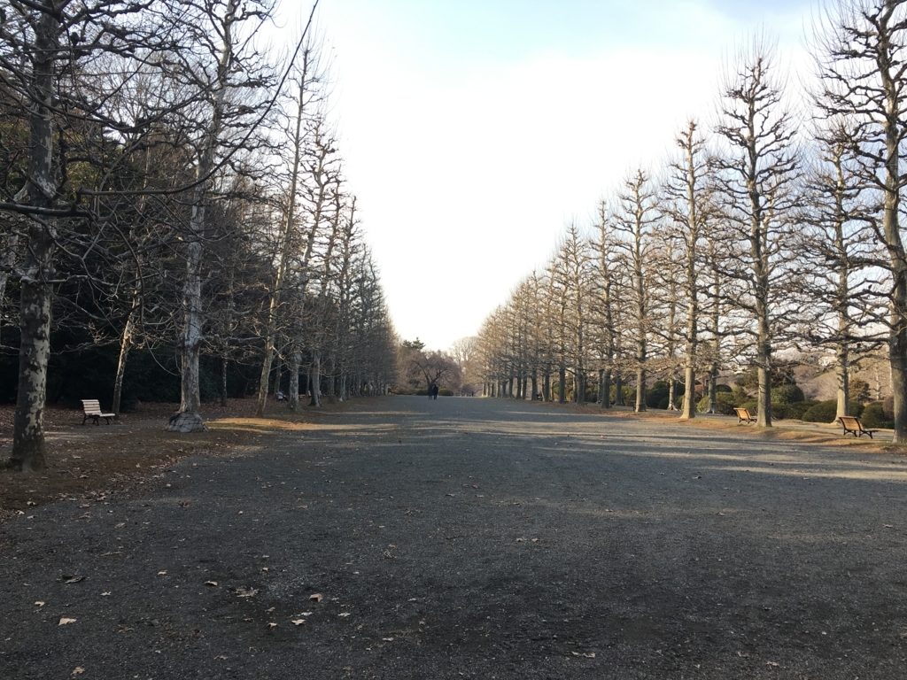 f:id:momoyo-haraguchi:20180216234053j:plain:w500 f:id:momoyo-haraguchi:20180216234053j:plain:w500