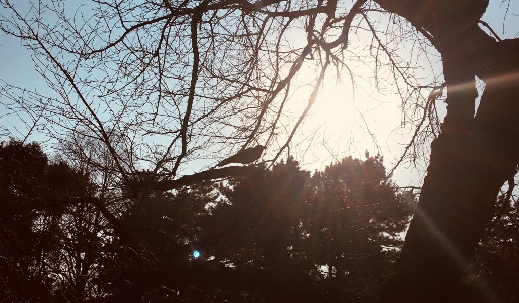 f:id:momoyo-haraguchi:20180216234613j:plain:w500 f:id:momoyo-haraguchi:20180216234613j:plain:w500