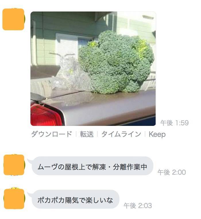 f:id:momoyo-haraguchi:20180302173807j:plain:w350 f:id:momoyo-haraguchi:20180302173807j:plain:w350