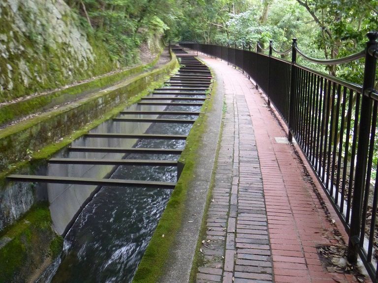 f:id:momoyorozu:20180708235952j:plain f:id:momoyorozu:20180708235952j:plain