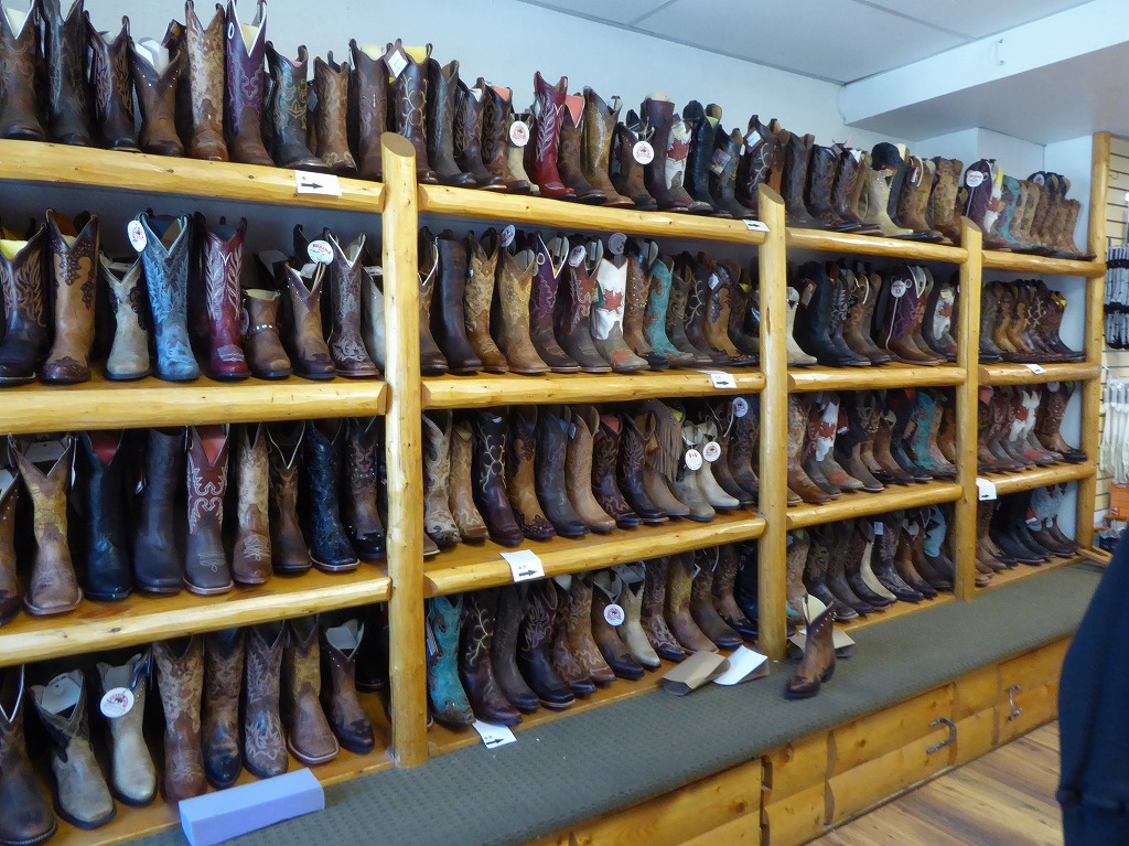 f:id:momoyorozu:20190321194636j:plain f:id:momoyorozu:20190321194636j:plain