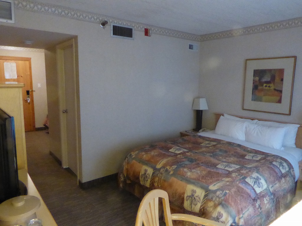 f:id:momoyorozu:20190321200156j:plain f:id:momoyorozu:20190321200156j:plain