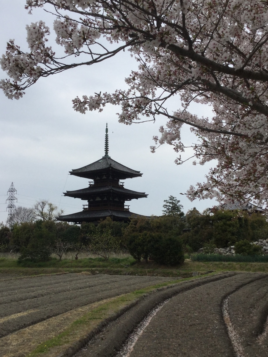 f:id:momoyorozu:20190610012148j:plain