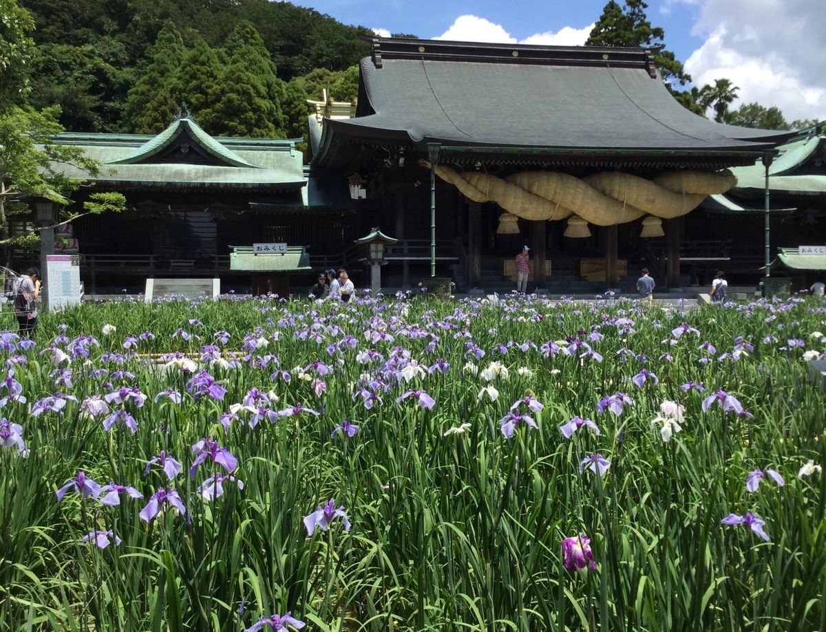 f:id:momoyorozu:20190720010509j:plain f:id:momoyorozu:20190720010509j:plain