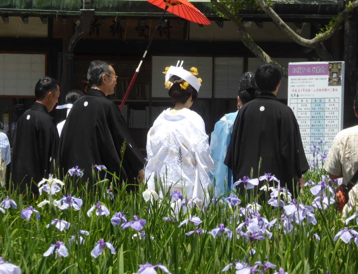 f:id:momoyorozu:20190720011251j:plain f:id:momoyorozu:20190720011251j:plain